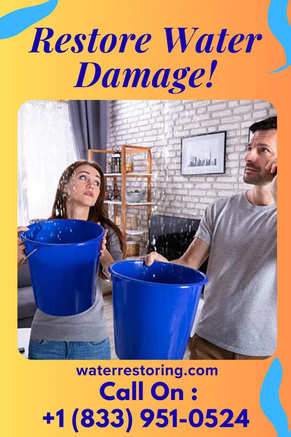 water restoration Master Disaster Cleanup Solutions Georgetown